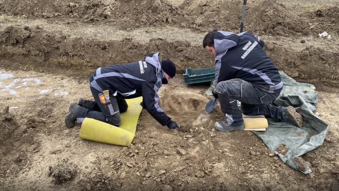 Második világháborús hadisírt tártak fel itthon – képek