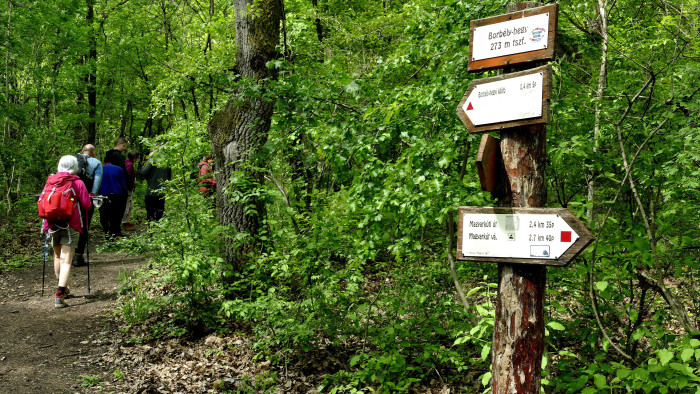 A természet bűvöletében indult el az Erdők Hete