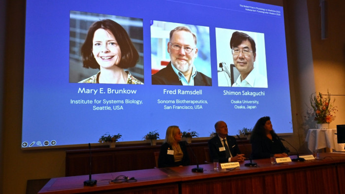 Ünnepelik, de ő erről mit sem tud – nem elérhető a friss Nobel-díjas tudós