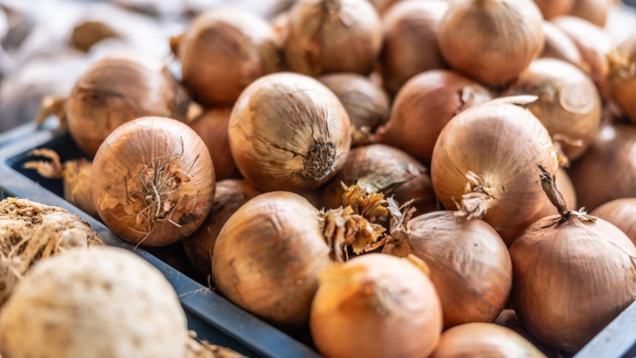 Vegyi fegyverekre emlékeztető gránátok bújtak meg a hagymaszállítmányban