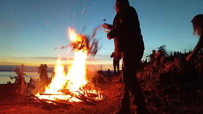 Megrázó fotók: lángba borítja szőlőtőkéit a kabócák miatt néhány gazda
