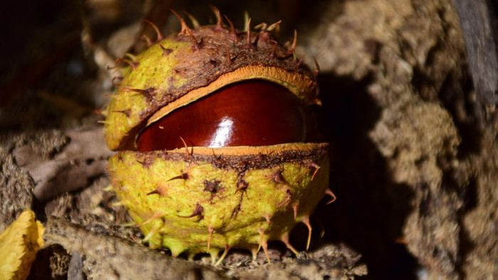 Ismét jön egy durva időjárási fordulat