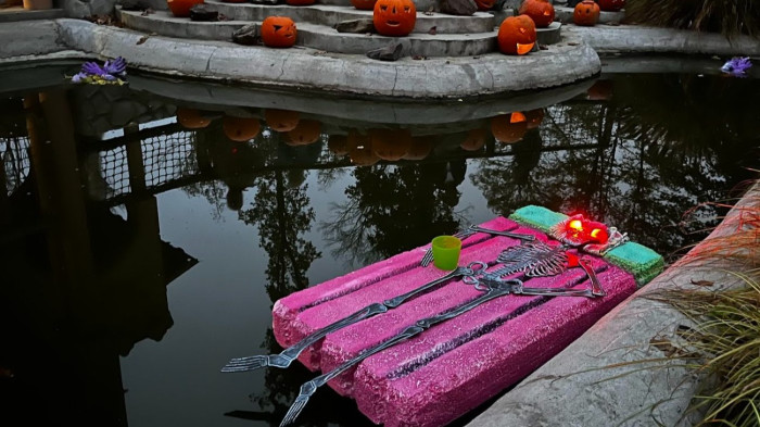 Ijesztő rémségek lepik el a Szegedi Vadasparkot