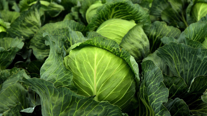 Árrésstop a sertésmájkrémtől a bébiételig: itt a lista az újdonságokról