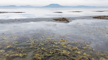 Lefotózták az űrből, hogy hol zavaros, azaz koszos a Balaton