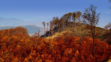 Árnyékba borul Magyarország 2030-ig