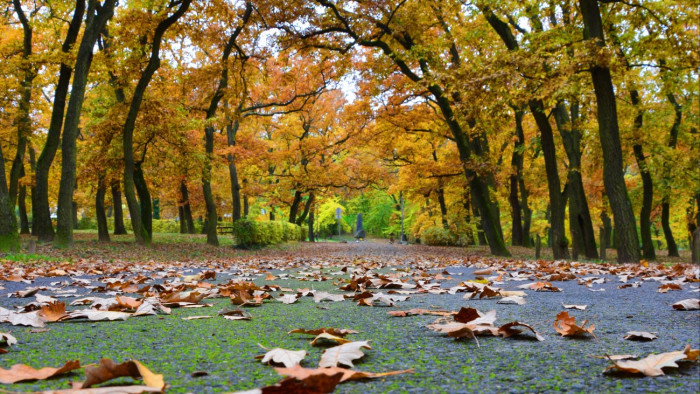 Nagy veszélyben vannak az autósok, mindenki nagyon vigyázzon