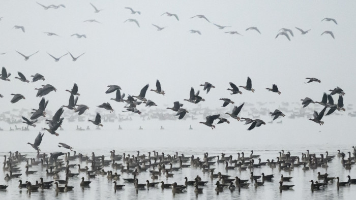 Elhúznak? – Veszélyben az egyik legismertebb természeti látnivaló