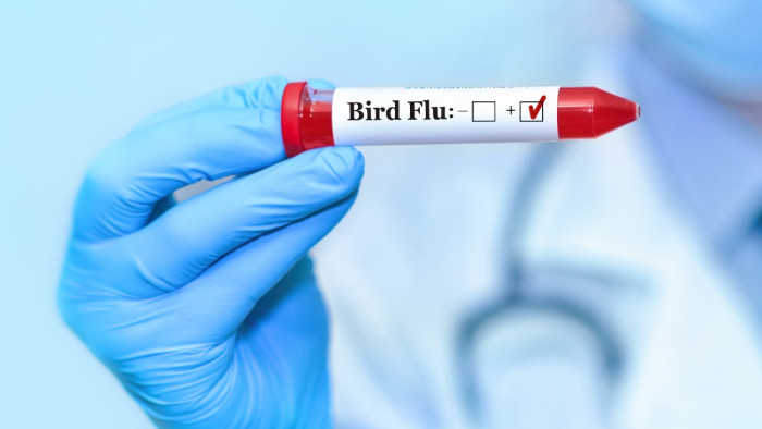 Két helyen is megjelent a veszélyes vírus Magyarországon