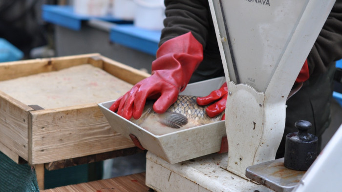 Nagy bejelentés érkezett: ezt jó tudni karácsony előtt