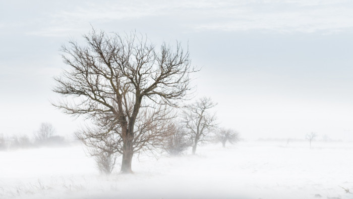 Masszívan rákezdett a havazás Észak-Magyarországon
