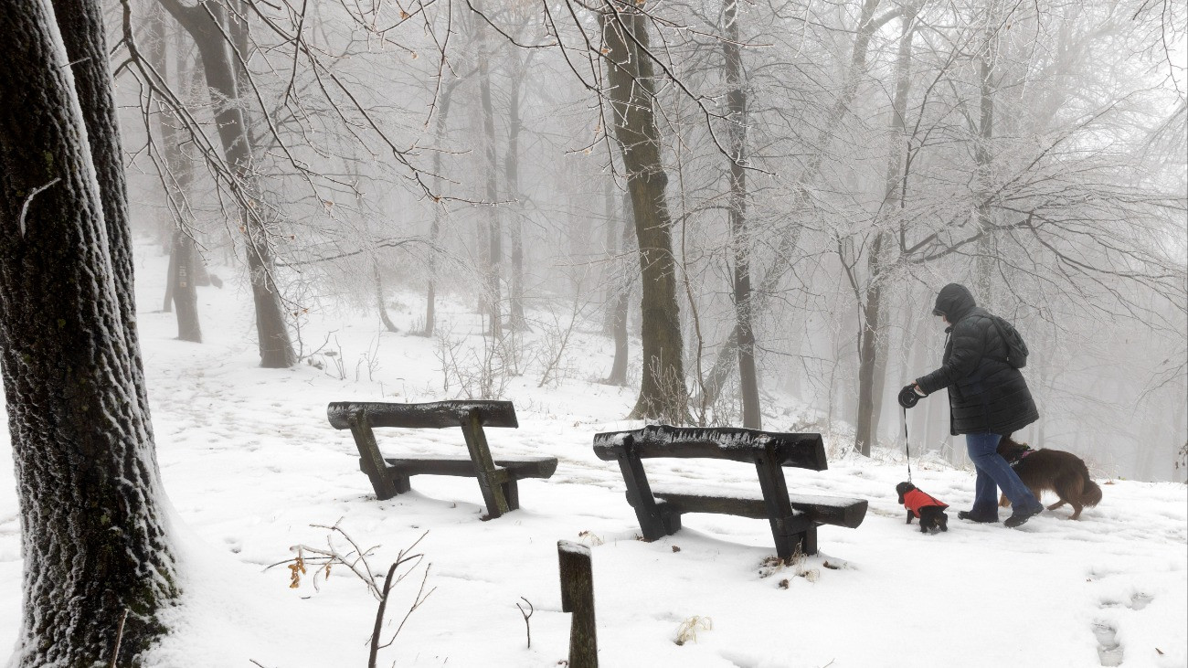 Nézzen fotókat a behavazott Dobogókőről, érdemes