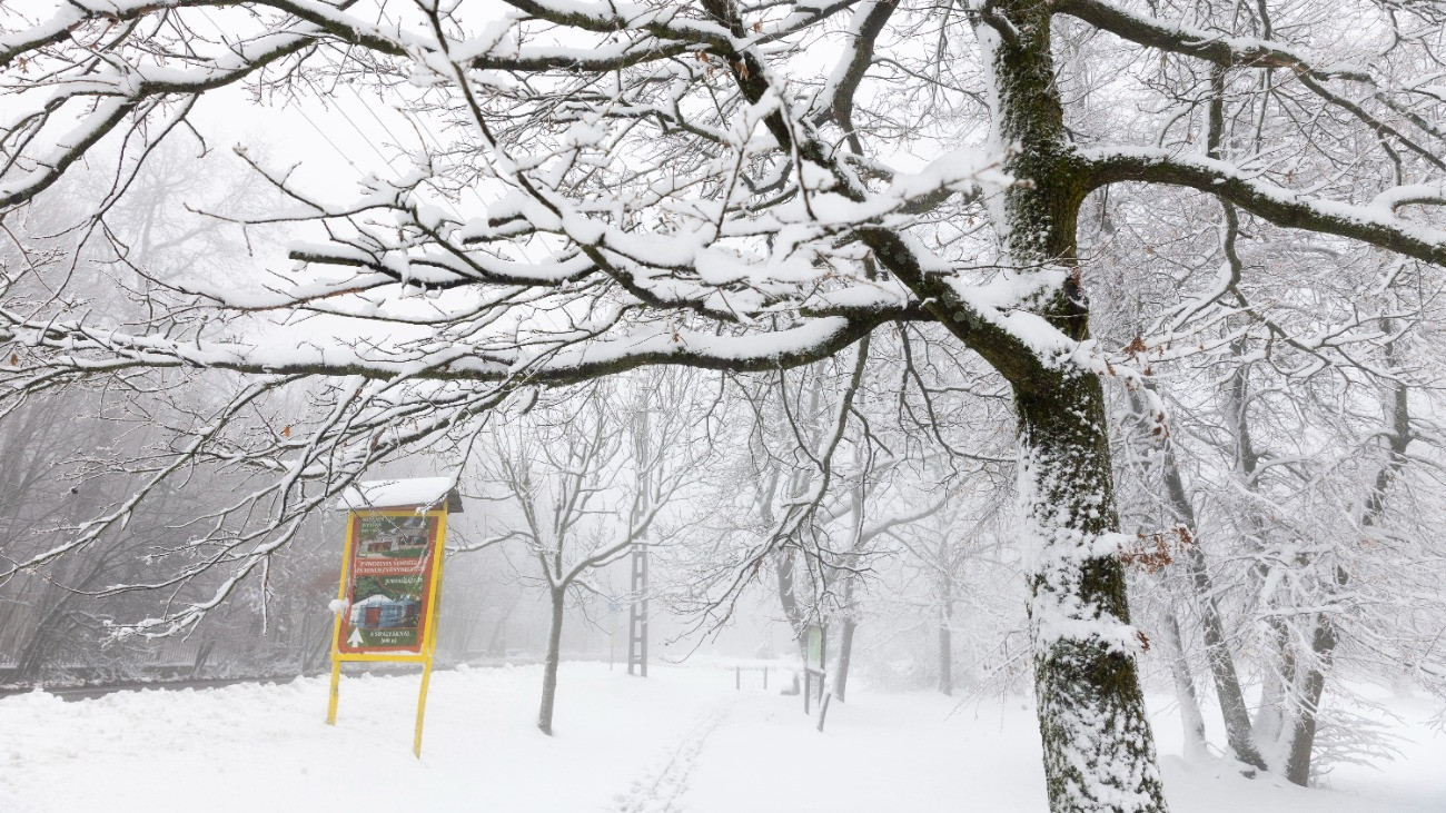Most jön majd a durva havazás, kemény széllel – nézze meg, hol lesz sok hó