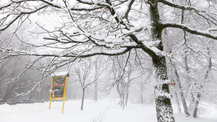 Most jön majd a durva havazás, kemény széllel – nézze meg, hol lesz sok hó