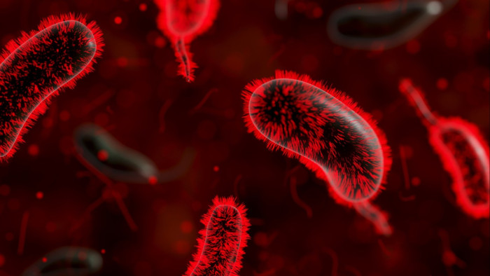 NNGYK: már több mint ezerhatszázan fertőződtek meg hepatitis A-val idén