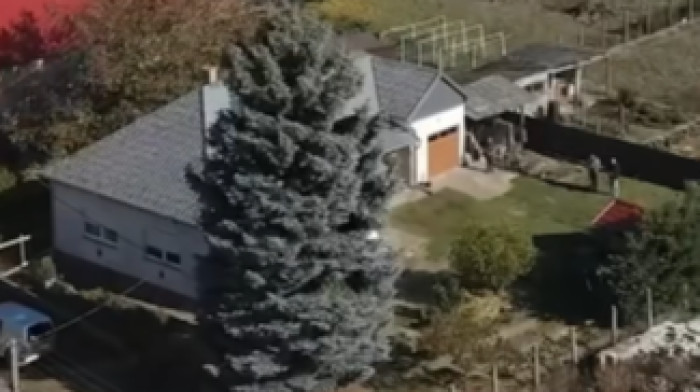 Titkolózik, aki adta: gigászi karácsonyfa indult el Budapest felé – fotók, videó