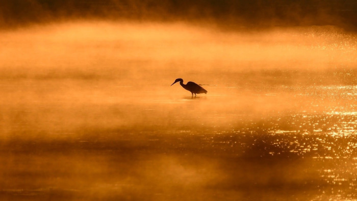 Egyre nagyobb veszélyben Magyarország különleges értékei