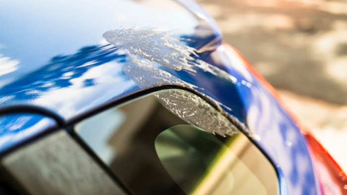 Madárürülék a kocsin: furcsa összefüggésekre derült fény