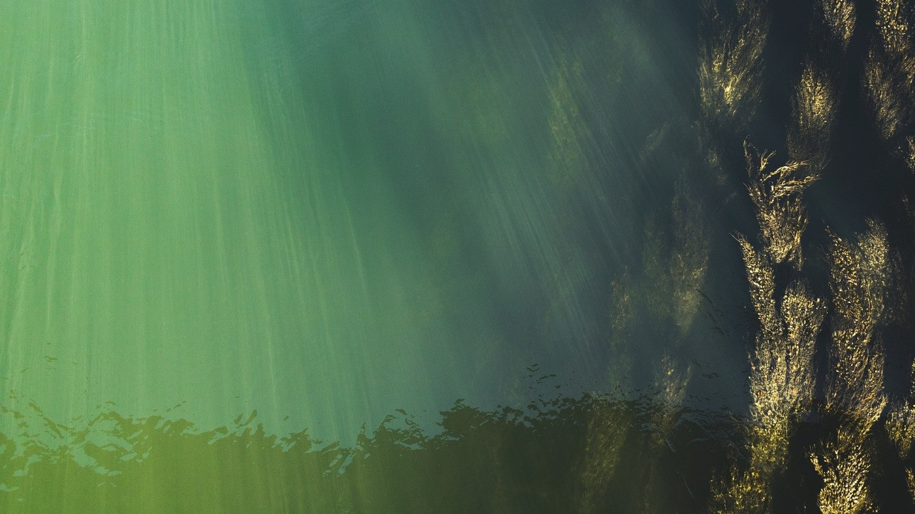 Szennyezés gyanúja miatt riasztották a Dunához a rendőröket Szobnál - videó