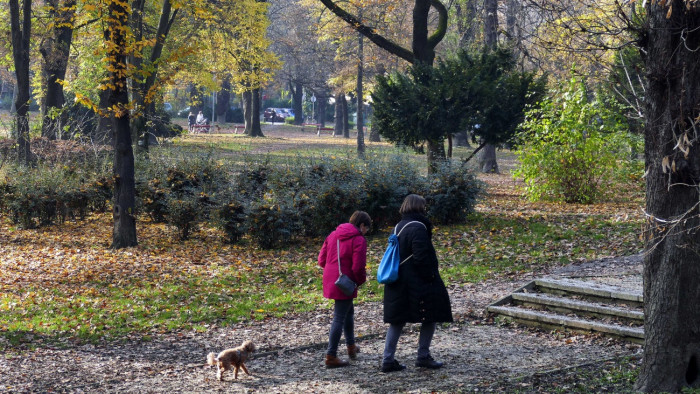 Főtájépítész: így halad a Városmajor megújulása