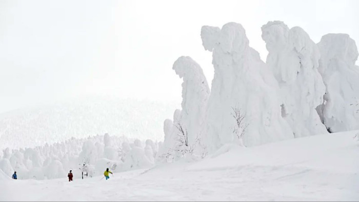 Drámai küzdelem folyik Japánban a híres hegyi rémek megmentéséért