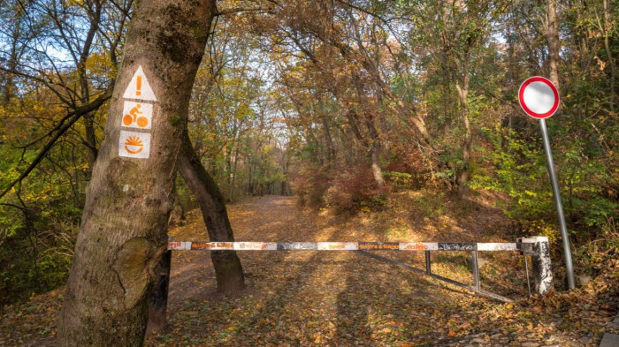 Terepbejárás után jön a nagy beavatkozás Budán