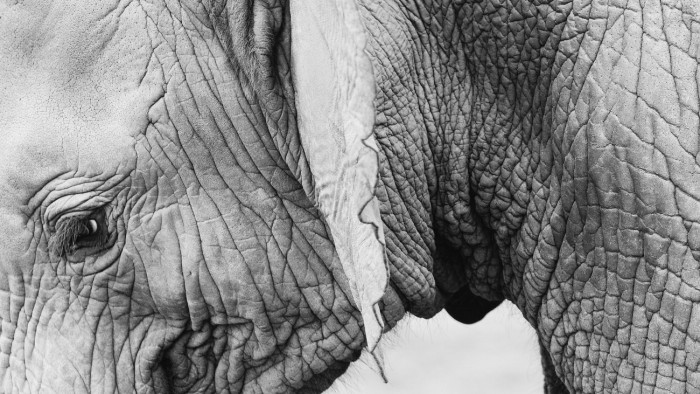 Legendás Craig nincs többé – fotó, videó