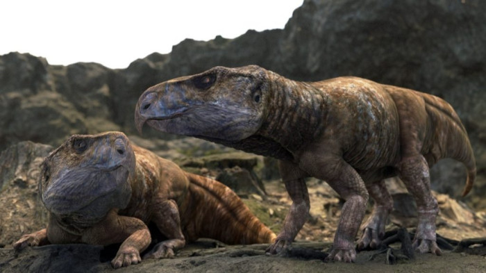 Nagy rejtélyre született magyarázat egy Magyarországon talált dinoszauruszlelettel