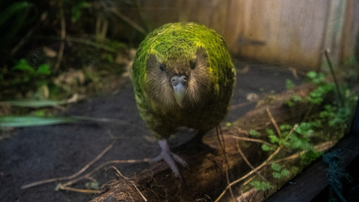 Négy év után fellángolt a szerelem - ennek az egész világ örülhet