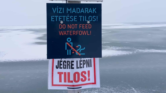 Tilosban jártak és még hergelték is a rendőröket – videó