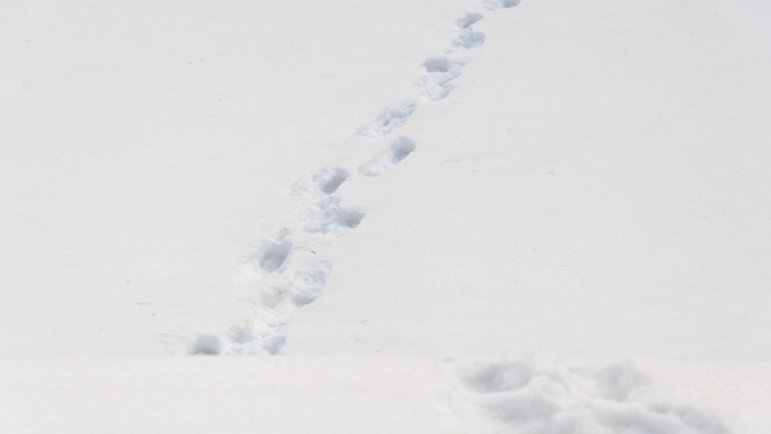 Ezek az emberek az életükkel játszanak – friss figyelmeztetések az időjárás miatt