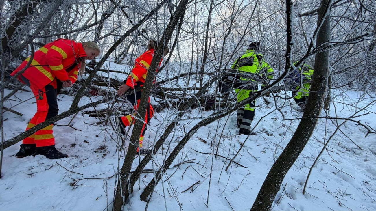 Tragédiával végződött az eltűnt utáni kutatás Gödöllőn