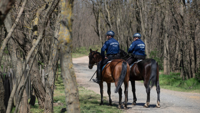 Nekihajtott a lovas rendőröknek, majd felgyújtotta az autóját
