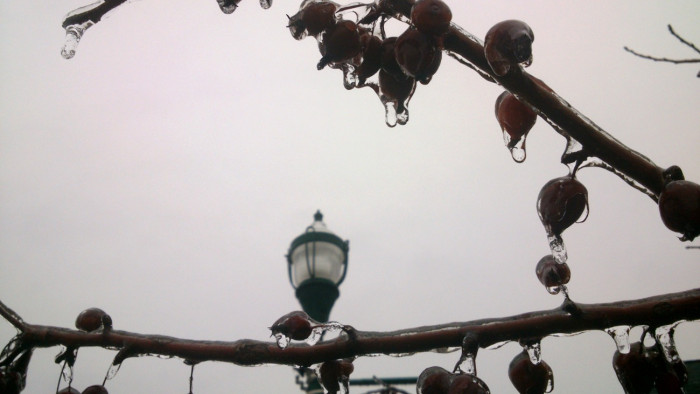 Amerika felében veszélyhelyzetet rendeltek el