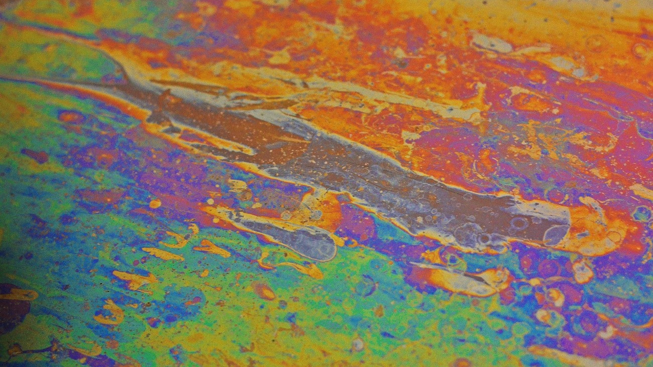 Már a Dunát is elérte a Rákos-patak olajszennyezése