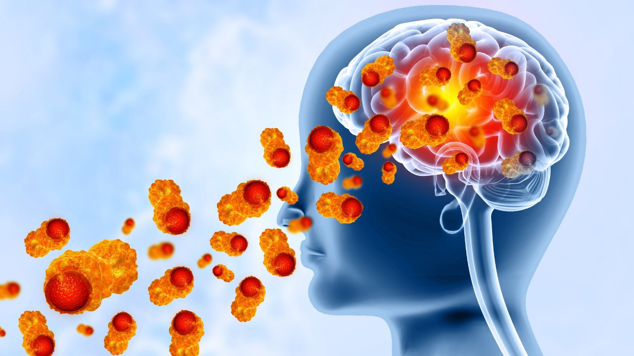 Gazdaszervezet nélkül is életben marad az agyevő amőba