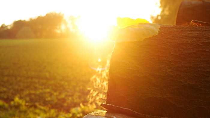 Napsütötte hétvégére készülhetünk: mutatjuk, hogy merre – aztán jön sok eső, hó
