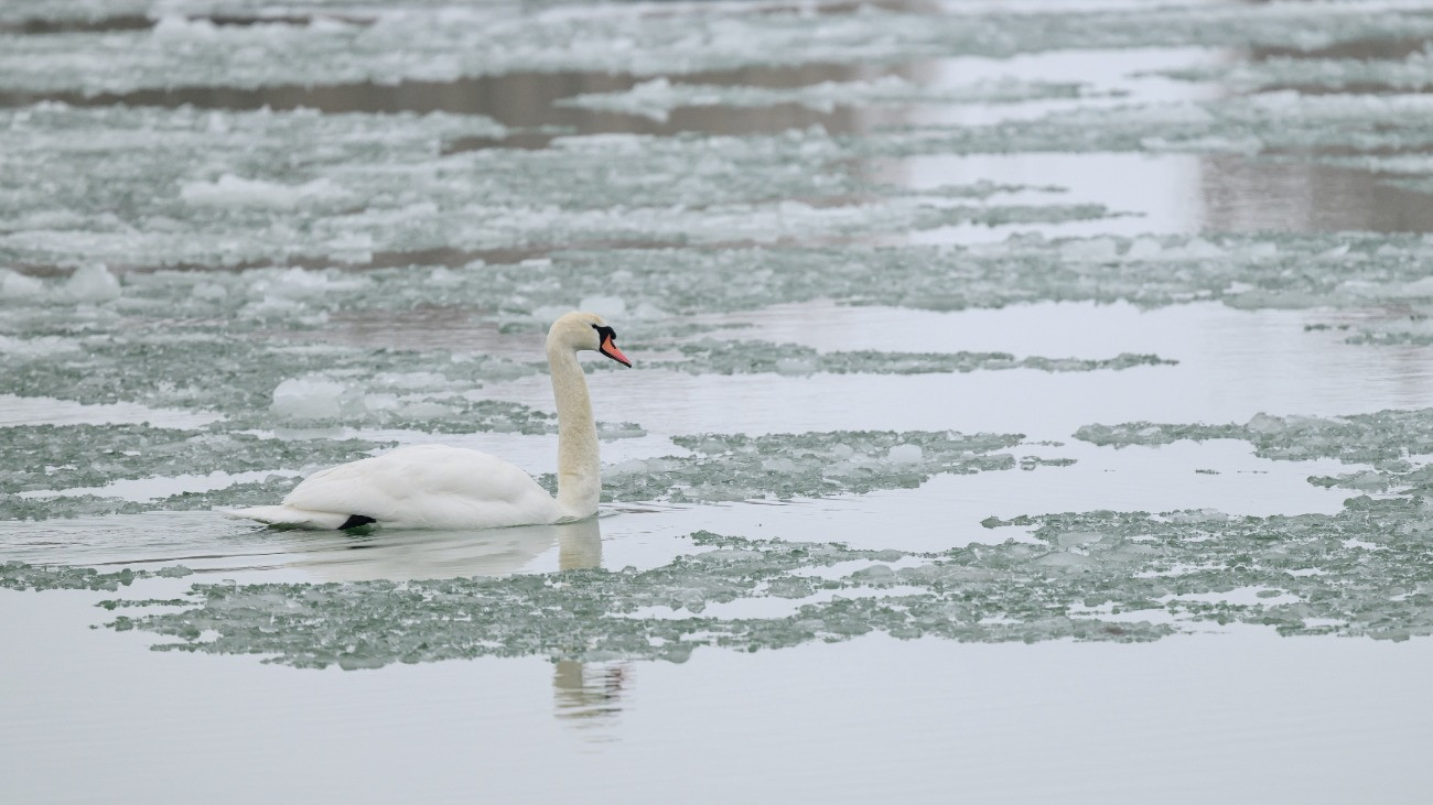 Különös arcát mutatja a Balaton – videó