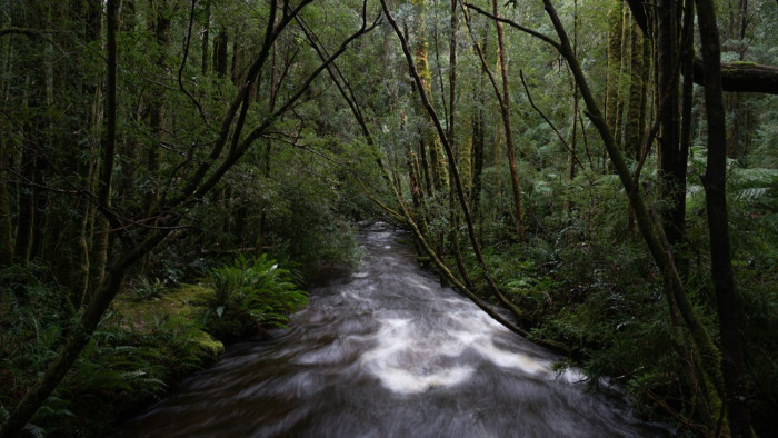 Sötét fordulatot vett az eltűnt belga turista utáni nyomozás, hátborzongató dolgokat találtak