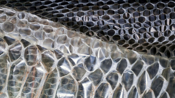 „Kígyóvá vált” a menyasszony