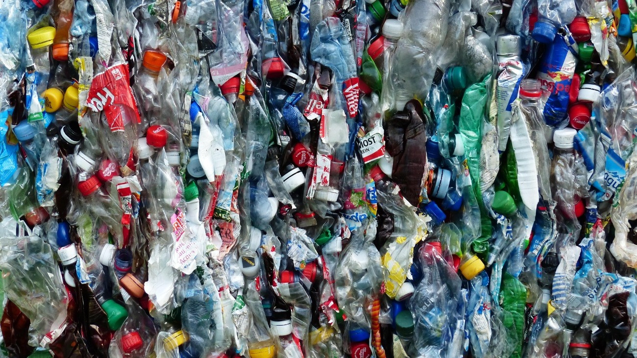 Hulladék Mona Lisa – videó