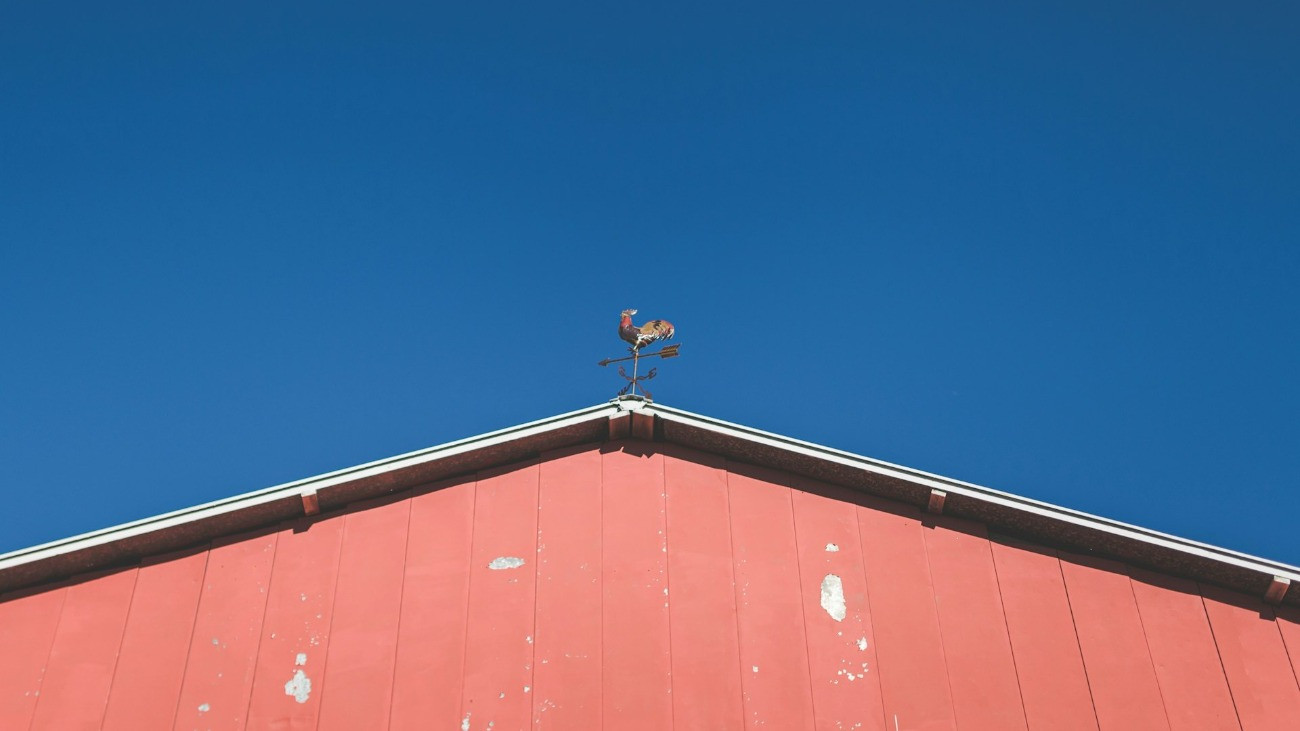 Hat métert zuhant az illegális munkás