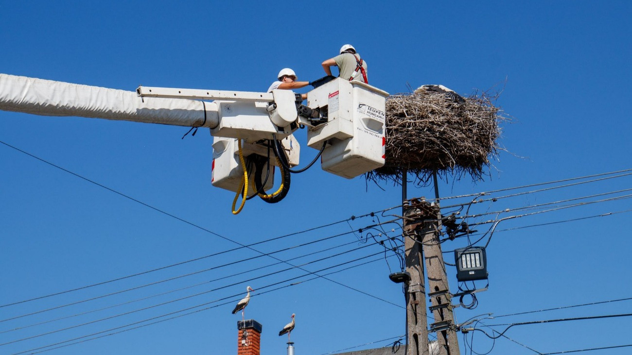 Rekordszámú gólyafészekkel készül a tavaszra az E.ON