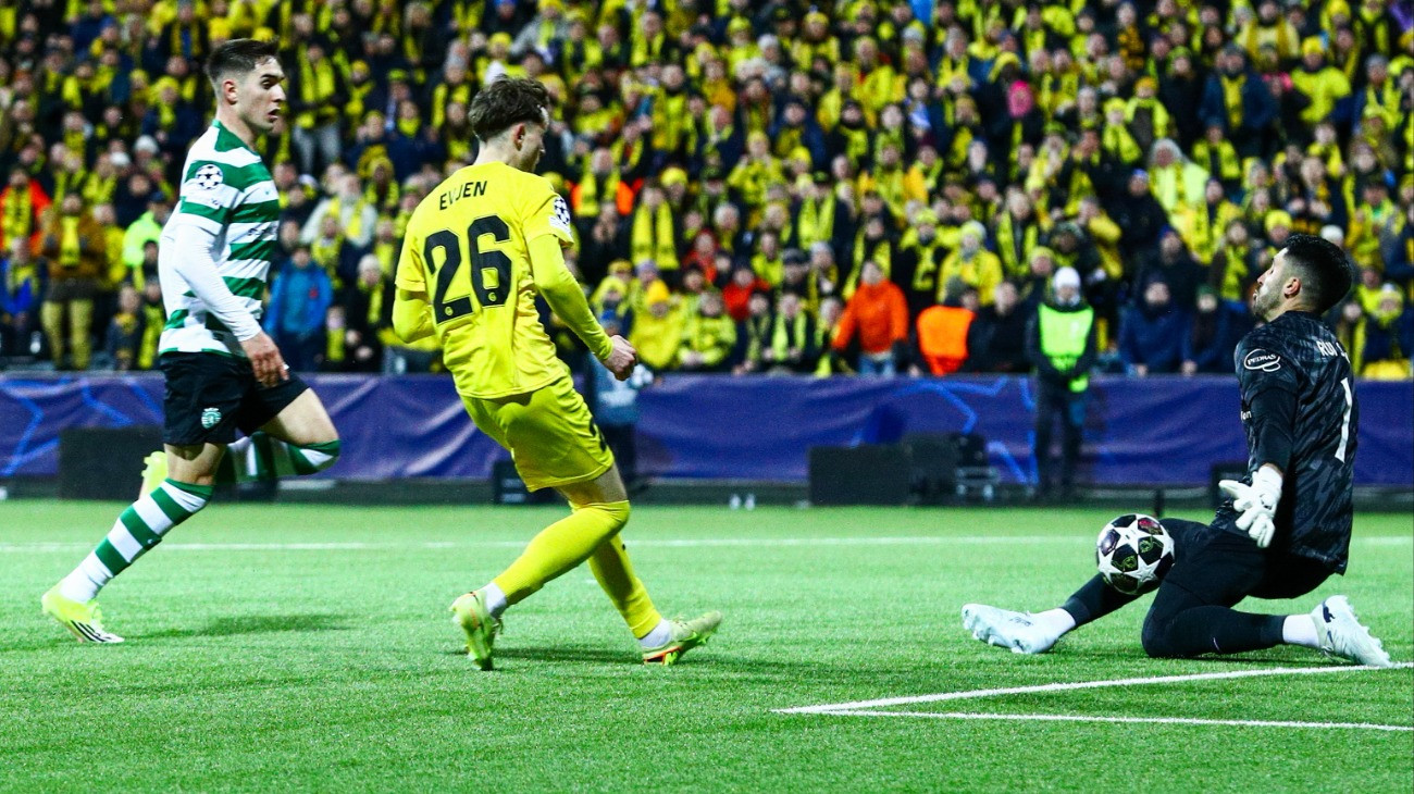 A Sárga úthenger esete a szárított tőkehallal