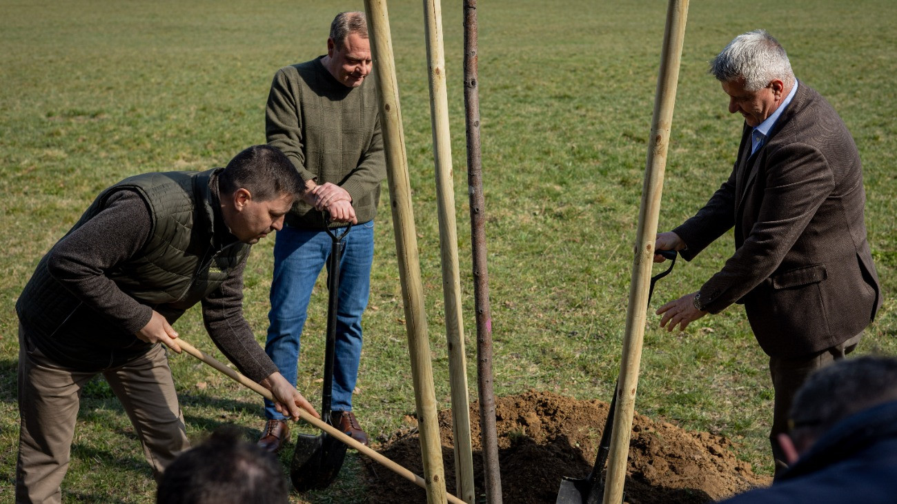 Mintegy 40 ezer fa elültetését támogatja a Szerencsejáték Zrt. Budapest környékén