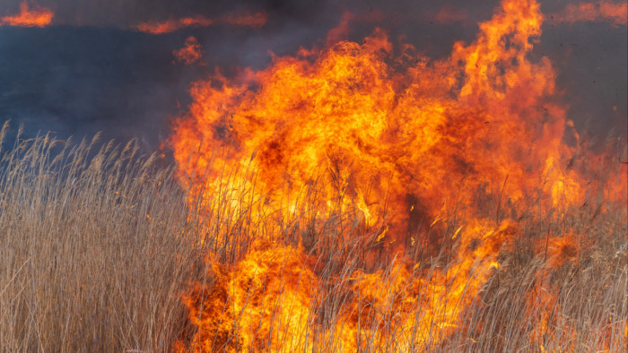 Brutális tűz tombol, 34 tűzoltó küzd a lángokkal – videó