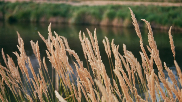 Megcsinálják a hiányzó négy kilométert a Duna-Tisza közi Homokhátság vízátemelő rendszerében