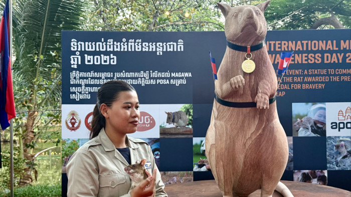 Szobrot emeltek a hős patkánynak – fotó
