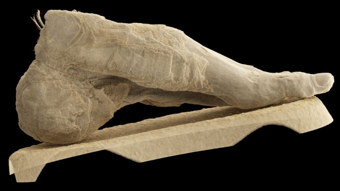 Mit keresett egy ősi maradvány a Semmelweis klinika CT-jében?