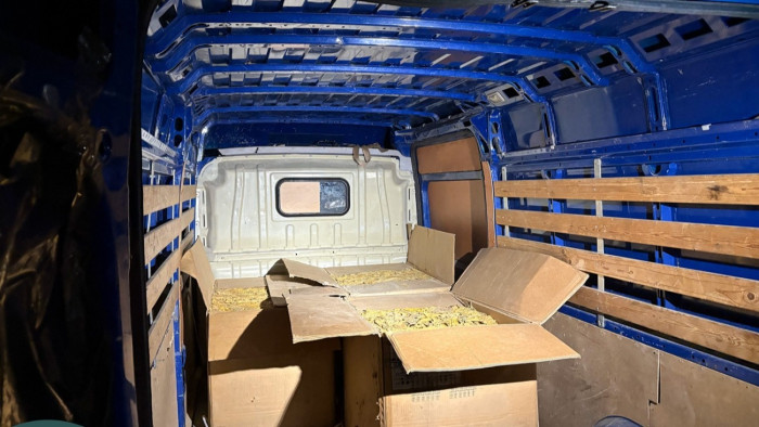 Nem véletlenül ugatta az elhagyott járművet a kutya